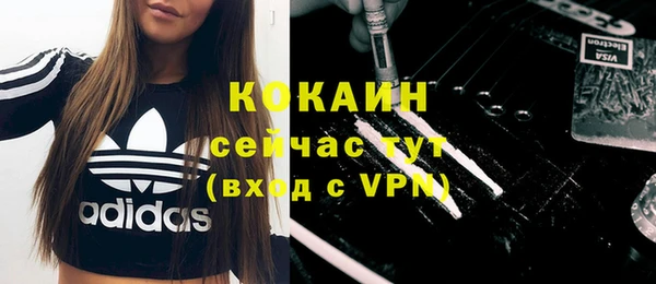 мдпв Елизово