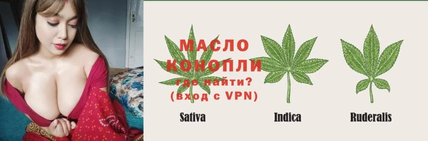 прущие грибы Дмитриев