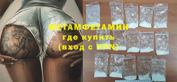прущие грибы Дмитриев
