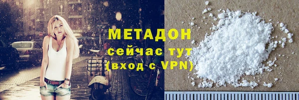 прущие грибы Дмитриев