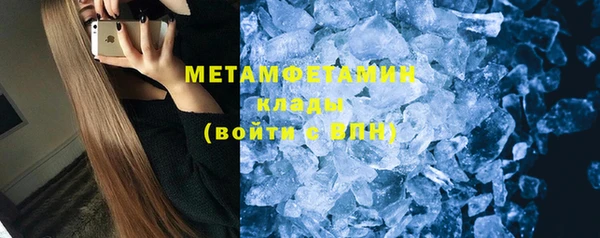 прущие грибы Дмитриев