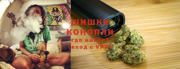 прущие грибы Дмитриев