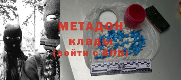 прущие грибы Дмитриев