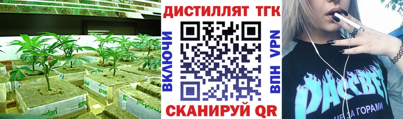 Купить где  Куровское  Дистиллят ТГК вейп 
